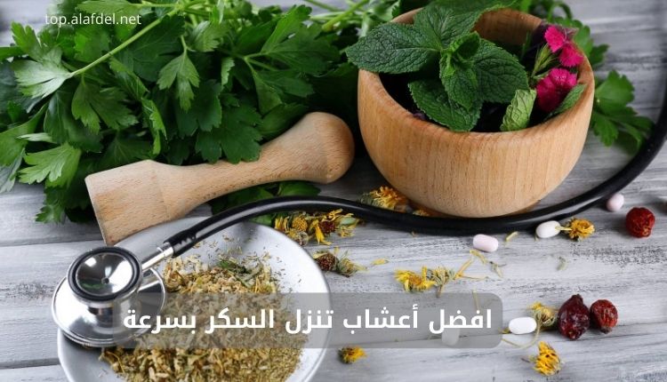 صورة بها عدد من الأعشاب ضمن الحديث عن افضل أعشاب تنزل السكر بسرعة