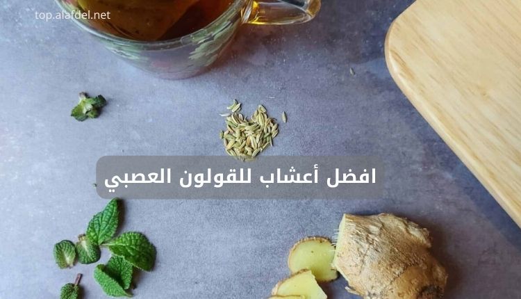 صورة لمكونات طبيعية تعتبر هي افضل أعشاب للقولون العصبي، تشمل الزنجبيل الطازج، أوراق النعناع، بذور الشمر، وكوب من شاي الأعشاب. تساعد هذه الأعشاب في تخفيف أعراض القولون العصبي وتُعتبر من أفضل الخيارات الطبيعية لعلاج اضطرابات الجهاز الهضمي