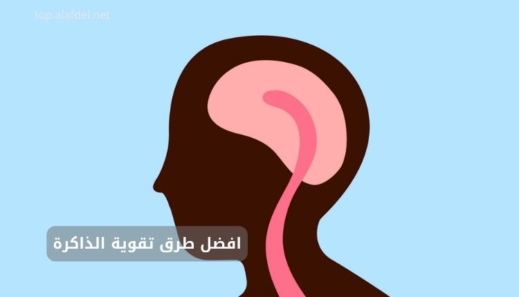 صورة بها رسم لجزء من الجزء العلوي من الإنسان وذلك عند بيان افضل طرق تقوية الذاكرة