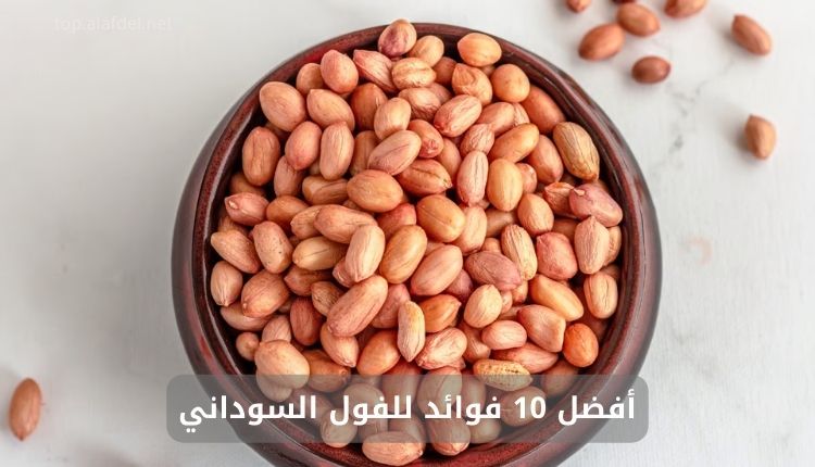 صورة تحتوي على وعاء مملوء بحبوب الفول السوداني غير المقشر. تُظهر الحبوب بلونها الطبيعي وتبرز تفاصيلها بوضوح، مما يعكس مظهرها الطازج. الفول السوداني غني بالبروتينات والألياف والدهون الصحية، ويُعرف بفوائده في تحسين صحة القلب، تعزيز الطاقة، ودعم وظائف الدماغ، وهذا كله ضمن أفضل 10 فوائد للفول السوداني